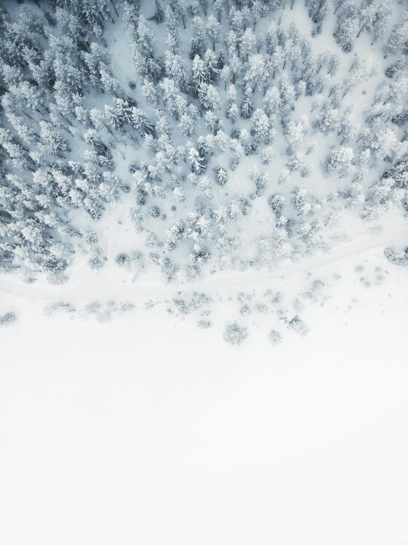 Heavy snow falling against a winter sky