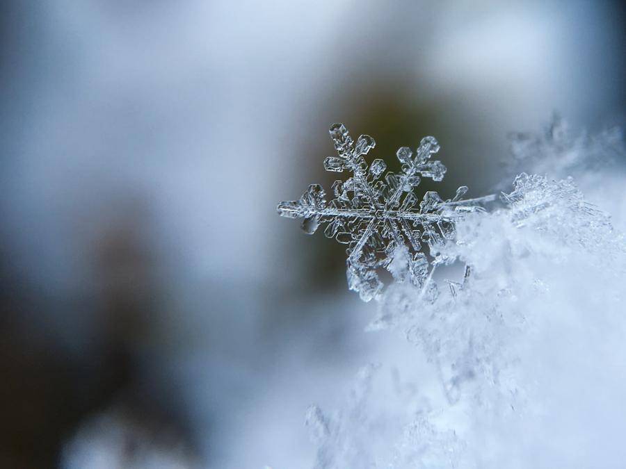 Close-up of a snowflake on fresh snow